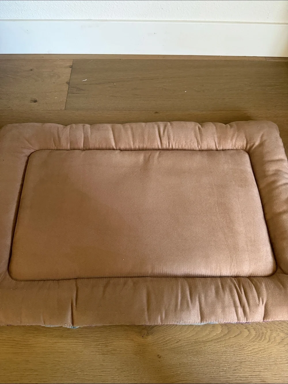 P.L.A.Y. Dog mat